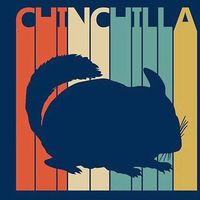 Photos de Sharon Chinchilla