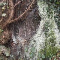 blandinele cloirec的照片