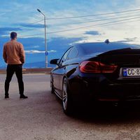 Alex Tsiskarauli的照片