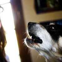 Molly Schmidt's Photo