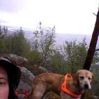 Fotos de Damian Pora