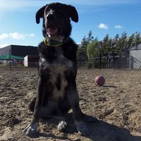 Mrzamp Ampino's Photo