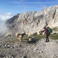 Annika Humbert's Photo