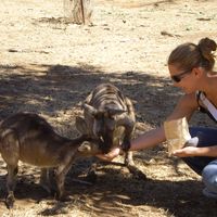 Photos de Lucie Lavergne