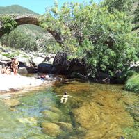 Teresa Garcia's Photo