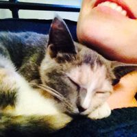 Claire Dunnington's Photo