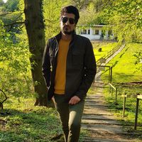 Masoud Hamidi的照片