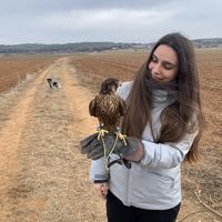 Photos de Carla Capell Dalmau