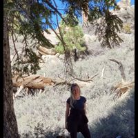 Sanne van Loo的照片