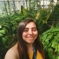 Allison Castellanos Hernandez's Photo