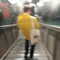 Fabio Cavallari的照片