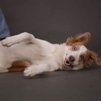 Eduardo Andrade的照片