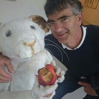 Roberto Zuffo's Photo