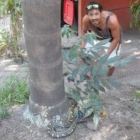 Nicolas Valdivia的照片