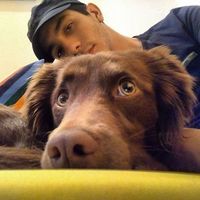 Andrés Avalos的照片