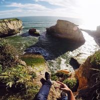 Ardent Traveller's Photo