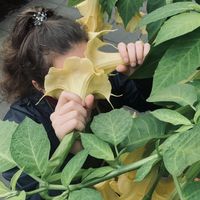 Sofia Ogarkova的照片