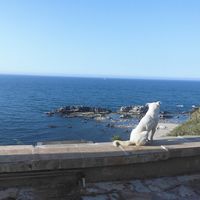 Karim Gouizi's Photo