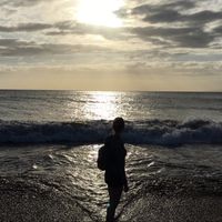 Ashley Wells的照片