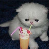 Megan Graham's Photo