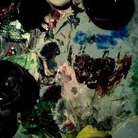 Cantheloop M Tanev's Photo