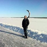 Zdjęcia użytkownika Nima Behzad