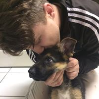 Alex Simsek的照片