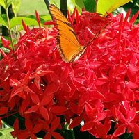 Fotos de Cynthia Morale