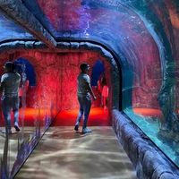 Mauricio Ballinas's Photo