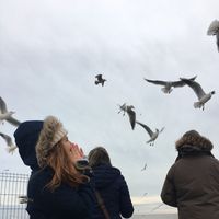 Jenny Horváth's Photo