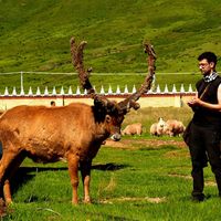 Fotos de Jan Adamovic