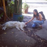 Fabiola Vargas的照片