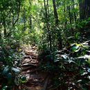 Hiking In Phuket, Thailand's picture