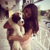 Luisa  Flores的照片