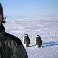 Le foto di Seth Turer