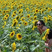 Mafel Tiamsic的照片