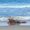 Gidelma Rodrigues's Photo