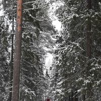 Photos de Yuyeon Kim