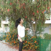 Bejian Noori的照片