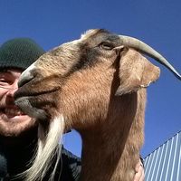 Ulysse Oriol的照片