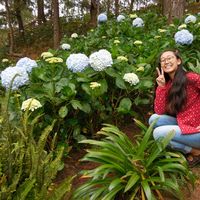 Lauren Yang的照片