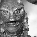 Creature Feature Night 's picture