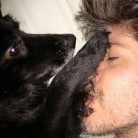 Фотографии пользователя Alexandre Pires Ferreira