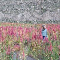 Le foto di Renata Steyer