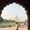 Harsh  Sharma's Photo