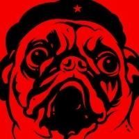 Yoan le Chartrousin's Photo