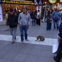 Sergio GONZÁLEZ's Photo