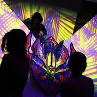 Akash  Sandhu的照片