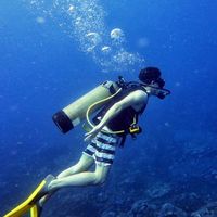 Augusto Gonzalez Elizalde's Photo