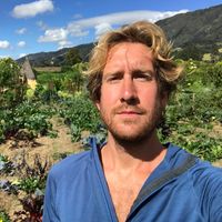 Fotos de Andrew Kalb